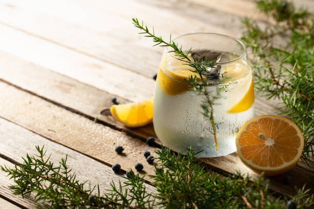 istock Gin tonic cocktail with lemon, juniper branches, and berries. 1485137470
