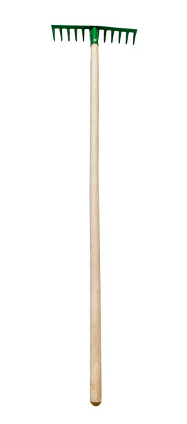 istock steel rake with tines downwards with wooden handle 1485137659