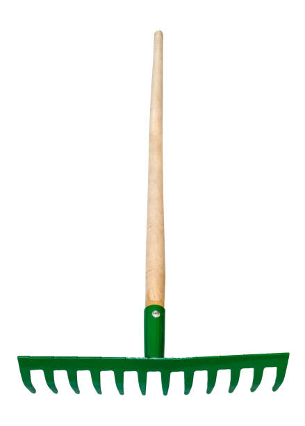 istock front view of steel rake with tines down with pole 1485137660