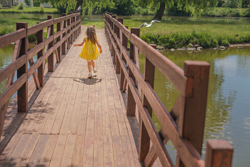 The girl runs along a narrow wooden old bridge catching up with a flying seagull. A child hunts birds in the park by the pond