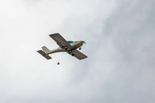 Photo of A small plane flies in the sky