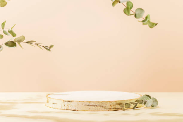 istock Empty product display on pink background with green eucalyptus leaves 1485138791
