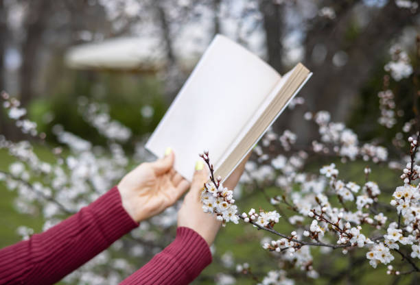 Girl reading a book on the lawn.