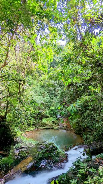 istock Waterfall of ulu rawas, pelalui 1485140877