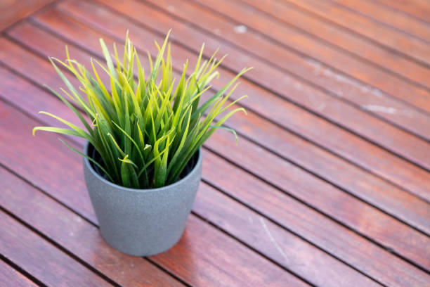 We are pleased to design an urban garden that supports sustainable housing within urban systems.