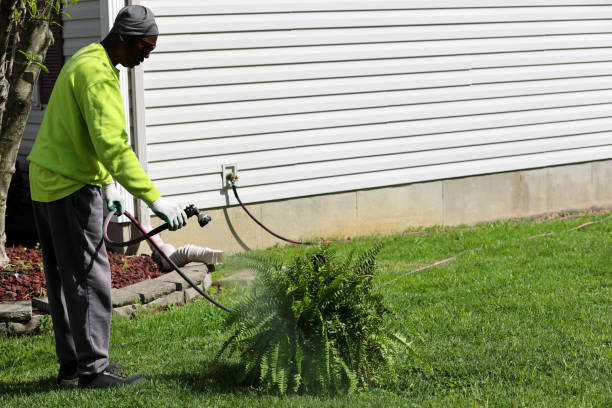 istock A black man spraying a fern with a water hose 1485144840
