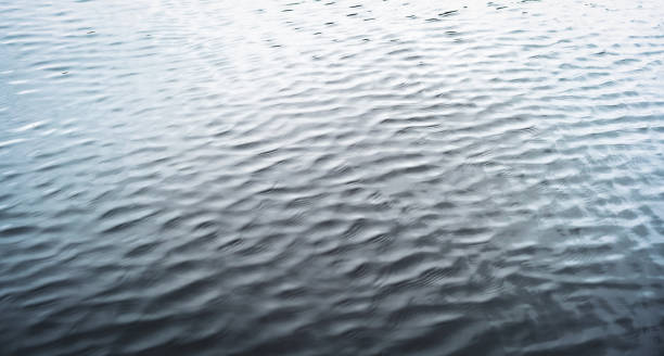 Free Stock Photo of Tranquil view of calm rippling water in grayscale ...