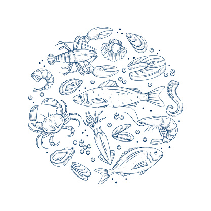 Hand drawn seafood illustration. Vector set of line sea fishes with prawn, salmon, crab, lobster, fish fillet, oyster, mussel, octopus, squid. Engraved background for restaurant menu, design sea shops