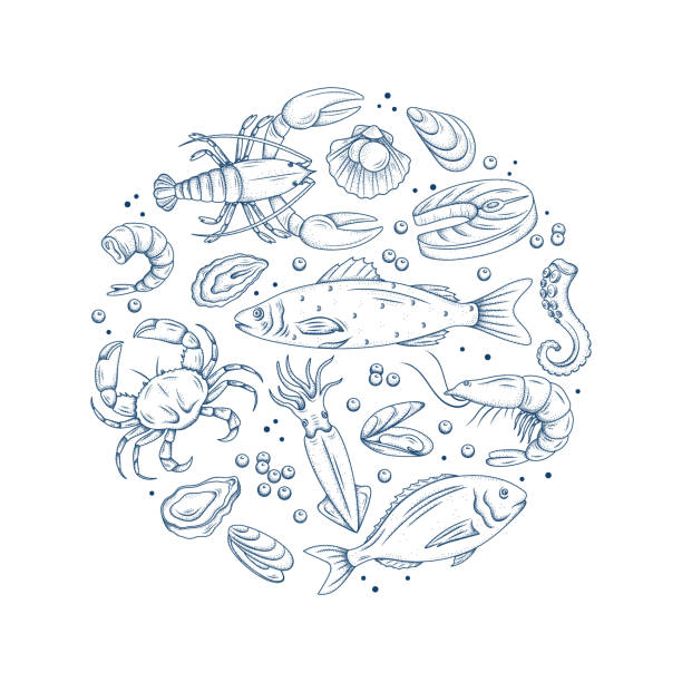 Hand drawn seafood illustration Hand drawn seafood illustration. Vector set of line sea fishes with prawn, salmon, crab, lobster, fish fillet, oyster, mussel, octopus, squid. Engraved background for restaurant menu, design sea shops seafood stock illustrations