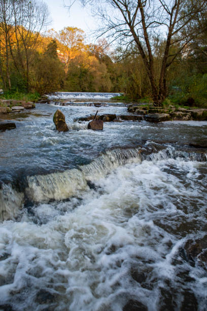 istock Natural wild water river in a rural landscape 1485156129