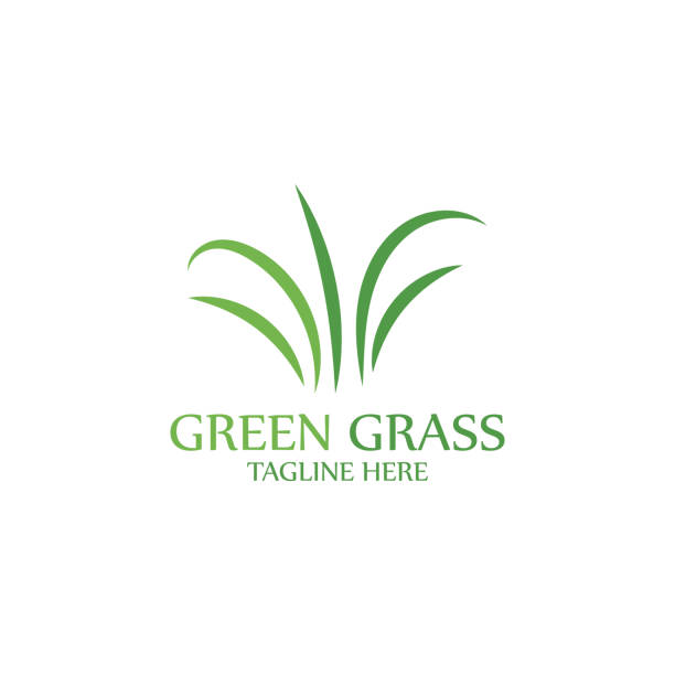 ilustrações de stock, clip art, desenhos animados e ícones de natural grass logo design template - blade of grass