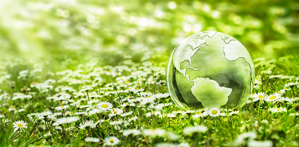 transparent 3d glass earth globe in a sunny daisy meadow on blurred bokeh background, symbolic concept for world environment day with copy space
