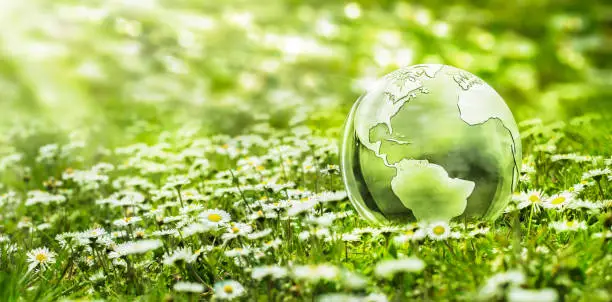 transparent 3d glass earth globe in a sunny daisy meadow on blurred bokeh background, symbolic concept for world environment day with copy space