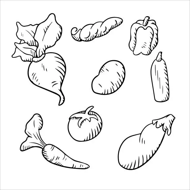 Vector illustration of vegetables black and white