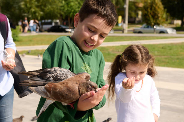 Adorable Caucasian child boy, 10 years old feeding pigeon sitting on his hand during family outing on a spring sunny day Adorable Caucasian child boy, 10 years old feeding rock pigeon sitting on his hand during family outing on a spring sunny day. Lifestyle. People, nature and wild animals leaving outdoors pigeon family stock pictures, royalty-free photos & images