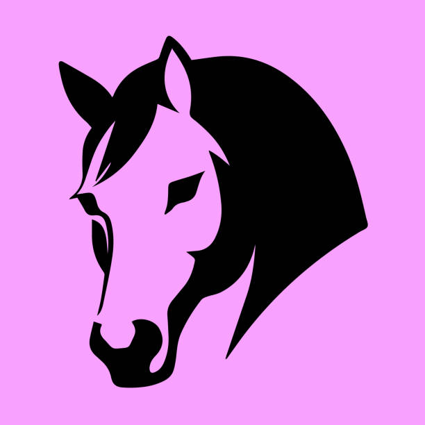 Horse head silhouette. Isolated on pink background Horse head silhouette. Vector illustration. Isolated on pink background. horse head vector stock illustrations