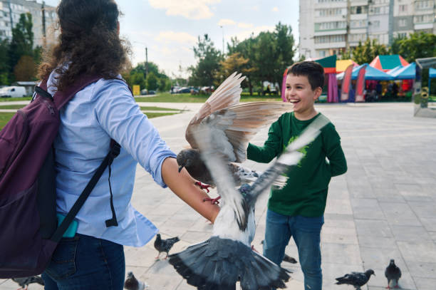 Lifestyle portrait of a happy teen boy smiling and having fun while walking with his mom and feeding pigeons in the park Lifestyle portrait of a Caucasian happy teen boy in casual clothes, smiling cheerfully and having fun while walking with his mother and feeding pigeons in the park. People. Carefree childhood. Animals pigeon family stock pictures, royalty-free photos & images