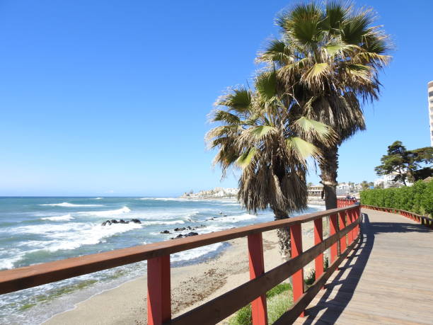 istock Coastal path of MIjas in Malaga 1485169761