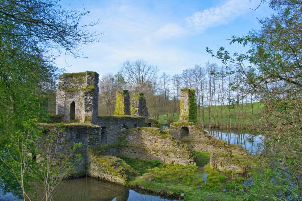 istock Castle ruins Eibach near Scheel in Lindlar 1485171309