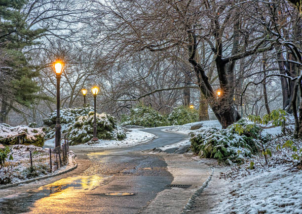 istock Central Park in winter  snow 1485174385