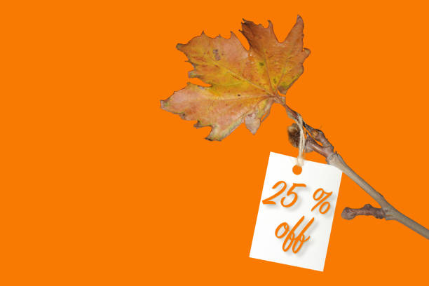 Autumn or winter sale concept idea with space for text. Label with twenty five percent discount on ticket, discount tag with yellowed leaf on twig.
