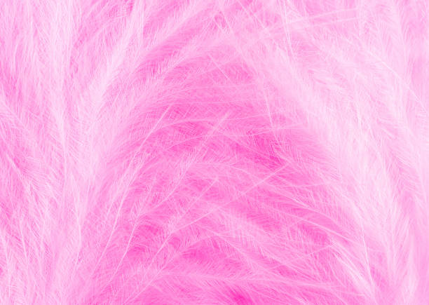 istock Green turquoise feathers in soft and blur style for background, macro shot 1485177457