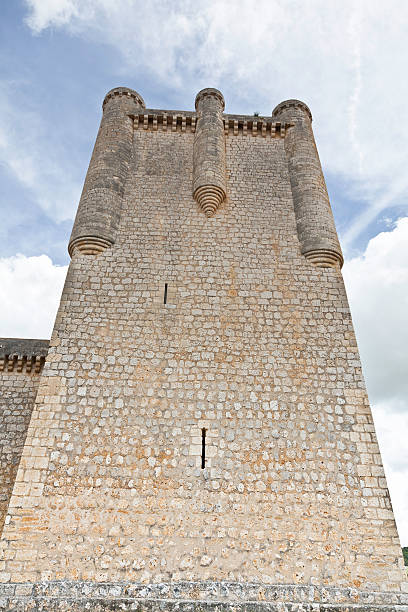 Hommage à la tour du château Torrelobatón - Photo