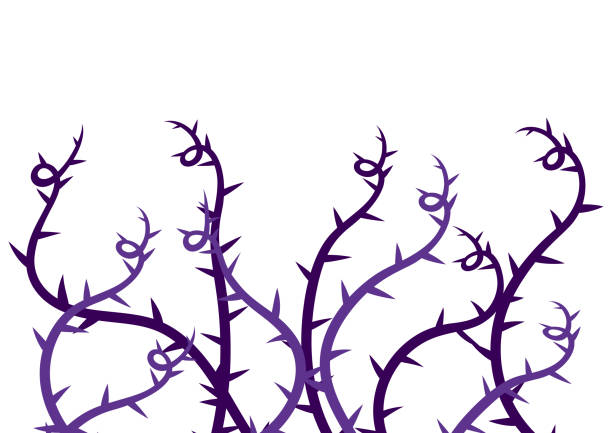 hintergrund mit sich kräuselnden dornen. illustration oder karte für party im gothic-stil. - dornen stock-grafiken, -clipart, -cartoons und -symbole