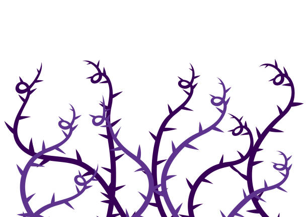Background with curling thorns. Illustration or card for party in gothic style. Background with curling thorns. Illustration or card for holiday and party in gothic style. thorn stock illustrations