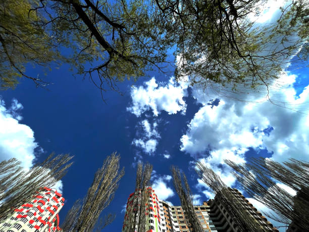 Blue sky, flowering trees, high-rise buildings