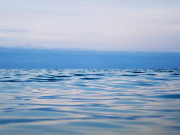 istock Swimming on sea level 1485188791