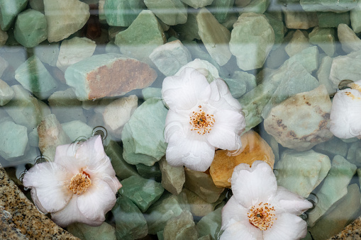 Flowers floating in a rock fountain shot from above.