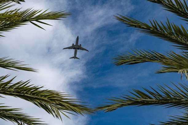 istock Commercial Aircraft Flying Low Over Miami 1485193312