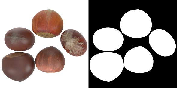 3D rendering illustration of some hazelnuts