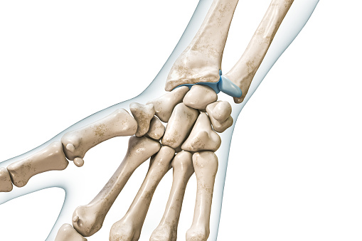 Carpal bones close-up with body contours 3D rendering illustration isolated on white with copy space. Human skeleton, hand and wrist anatomy, medical diagram, osteology, skeletal system concepts.