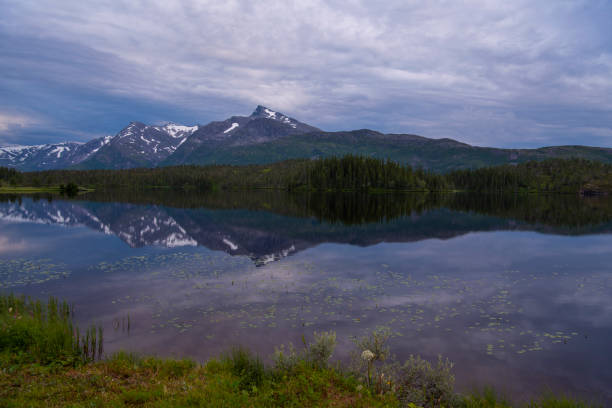 istock Scenic Northern Norwegian Wilderness Landscape 1485196154