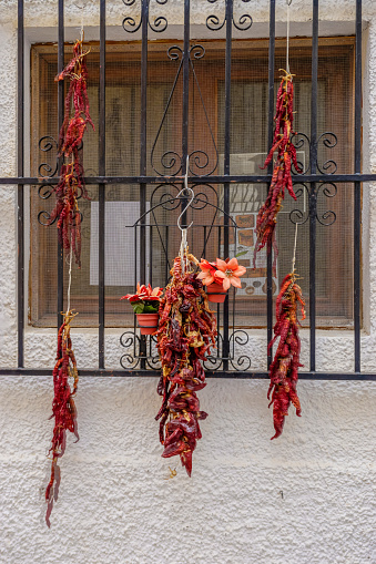 red peppers drying in the sun, typical of the andalusian area, spain