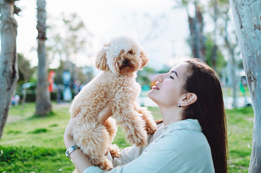 Young adult woman with her maltipoo dog walking in public park