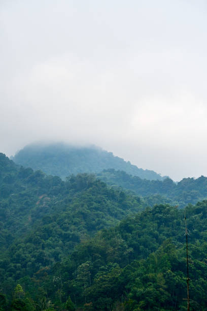 istock A Refreshing Mountain View: Rejuvenating Breeze, Serene Greenery, and Majestic Terrain 1485210885
