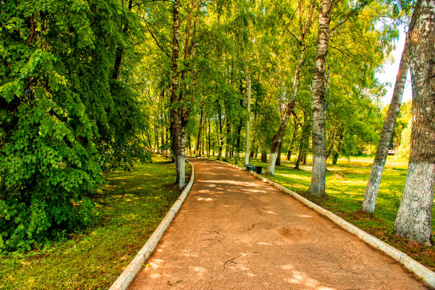 istock Alley in a public park 1485215561