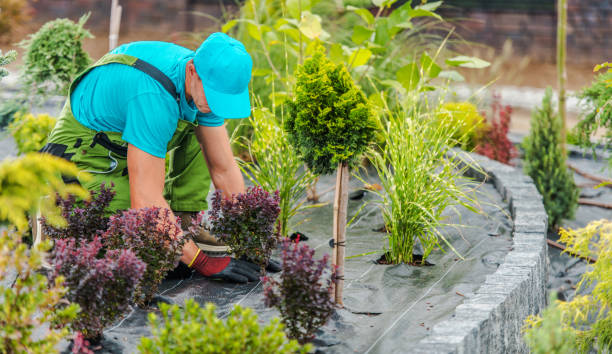 Professional Garden Landscape Maintenance Services stock photo