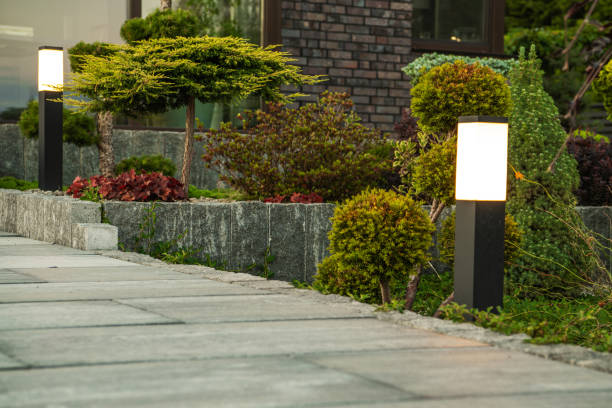 istock Backyard Garden Walkway with Outdoor Lights 1485217783