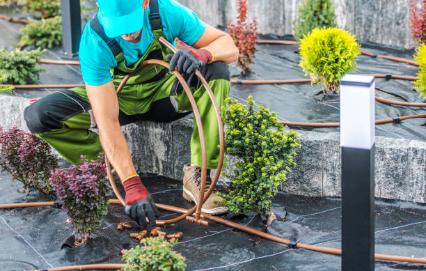 Professional Gardener Installing Irrigation System stock photo