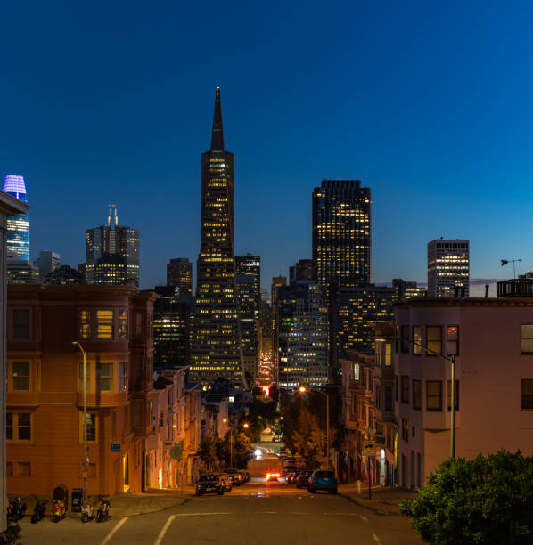 Transamerica Pyramid and Downtown San Francisco at Night A picture of the Transamerica Pyramid and Downtown San Francisco at night. transamerica pyramid san francisco stock pictures, royalty-free photos & images
