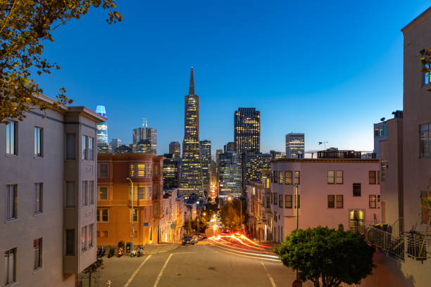 istock Transamerica Pyramid and Downtown San Francisco at Night 1485218575