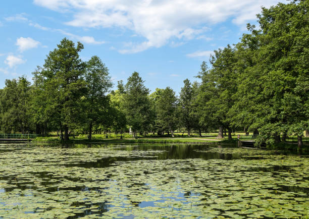 istock view of pond in park against sky 1485219642