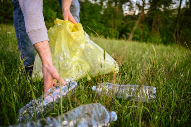 istock Volunteer hand collecting plastic bottle waste on a lawn. 1485223435