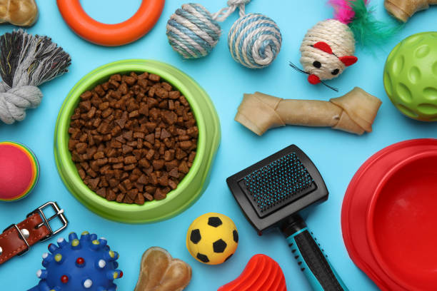 istock Flat lay composition with different pet toys and accessories on light blue background 1485223853
