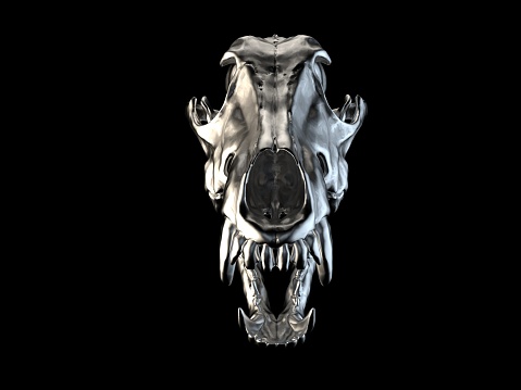 Metal wolf skull with open jaws - front view - 3D Illustration
