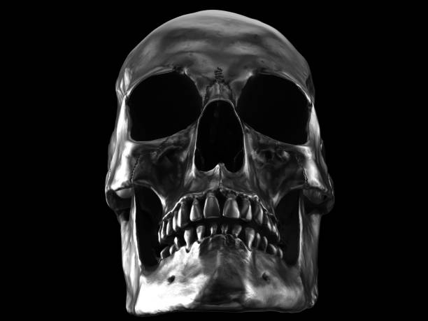 istock Rough metal skull - closeup shot - 3D Illustration 1485224050